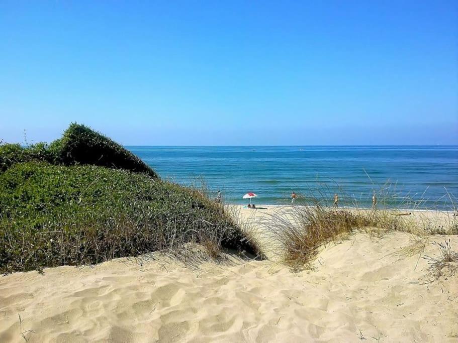 Sea Of Rome - Holiday Home Lido di Ostia Exterior foto